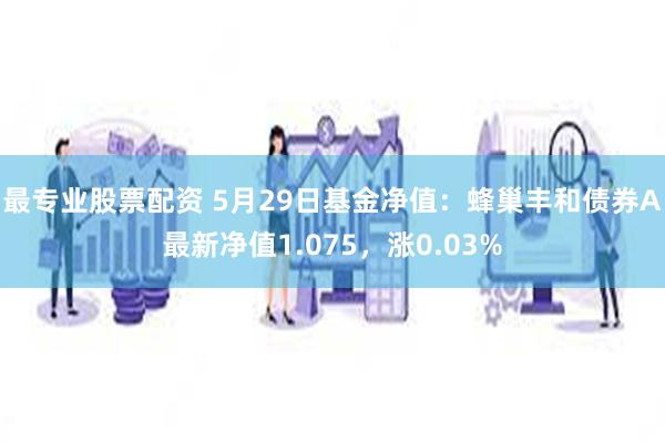 最专业股票配资 5月29日基金净值：蜂巢丰和债券A最新净值1.075，涨0.03%