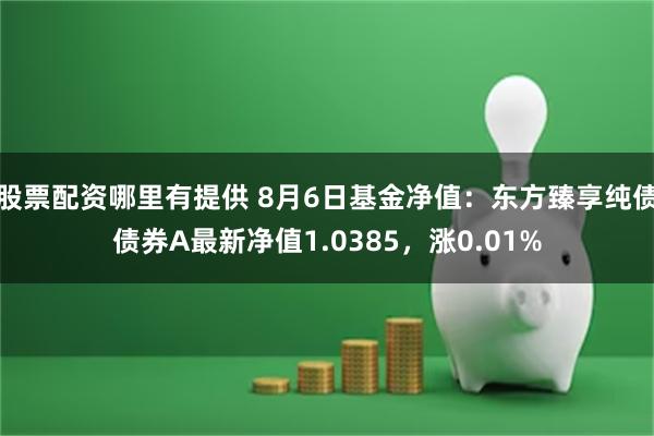 股票配资哪里有提供 8月6日基金净值：东方臻享纯债债券A最新净值1.0385，涨0.01%