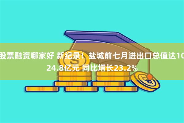 股票融资哪家好 新纪录！盐城前七月进出口总值达1024.8亿元 同比增长23.2%