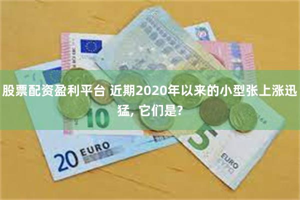 股票配资盈利平台 近期2020年以来的小型张上涨迅猛, 它们是?