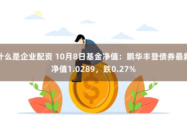 什么是企业配资 10月8日基金净值：鹏华丰登债券最新净值1.0289，跌0.27%