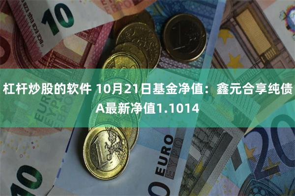 杠杆炒股的软件 10月21日基金净值：鑫元合享纯债A最新净值1.1014