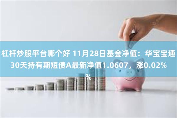 杠杆炒股平台哪个好 11月28日基金净值：华宝宝通30天持有期短债A最新净值1.0607，涨0.02%