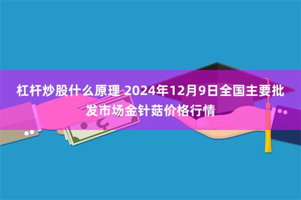 杠杆炒股什么原理 2024年12月9日全国主要批发市场金针菇价格行情