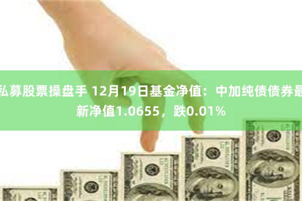 私募股票操盘手 12月19日基金净值：中加纯债债券最新净值1.0655，跌0.01%