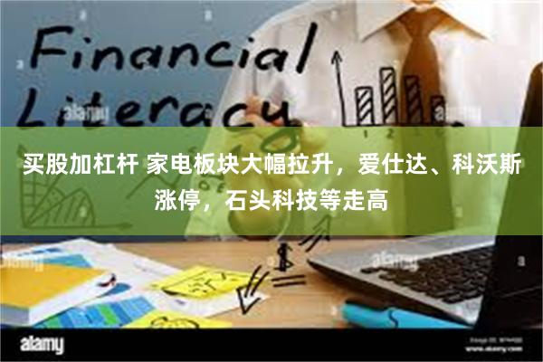 买股加杠杆 家电板块大幅拉升，爱仕达、科沃斯涨停，石头科技等走高