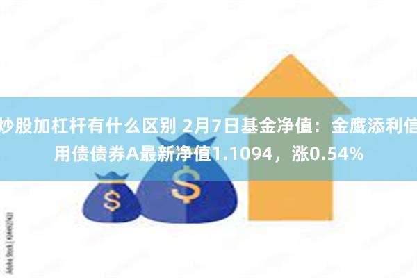 炒股加杠杆有什么区别 2月7日基金净值：金鹰添利信用债债券A最新净值1.1094，涨0.54%