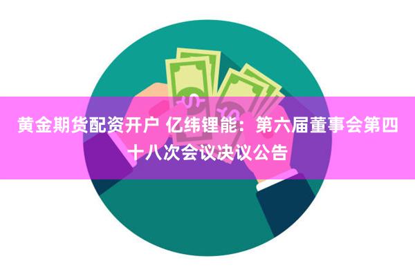 黄金期货配资开户 亿纬锂能：第六届董事会第四十八次会议决议公告