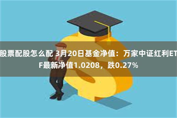 股票配股怎么配 3月20日基金净值：万家中证红利ETF最新净值1.0208，跌0.27%